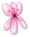 geranium blomma